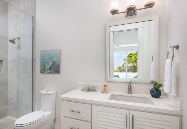 Villa in Leeward - Salt Air and Second Wind Villa in Leeward - Salt Air and Second Wind